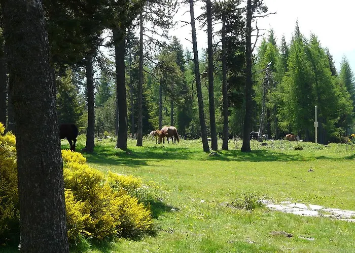 Apartment Romeu Via Font-Romeu-Odeillo-Via